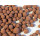 Aquaclay® Liapor Ton Teich Filtermaterial Bio Filtermedium Granulat - Menge: 25 Liter