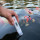 Elektronischer pH + Temperatur Duo Tester inkl. Kalibrierlösung Messgerät Wassertest für Aquarium, Pool & Teich