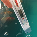 Elektronisches Salz Messgerät  inkl. Kalibrierlösung Salzgehalt Tester Wassertest für Koi Teich, Innenhälterung & Aquarium / inkl. Kalibrierlösung