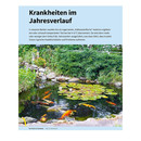 Patient Koi von Dr. Sandra Lechleiter - Fachbuch für Diagnose / Behandlung / Vorsorge - Koi Teich Buch