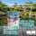 Teich Bio (Pond Repair) Koi Teich Schwimmteich gegen Algen - Die biologische Wasserkontrolle