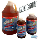 MICROBE LIFT® Clean & Clear - Hochleistungs Teich- und...