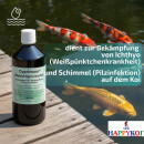 Cyprinocur® Malachit Malachitgrünoxalat -...
