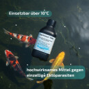Cyprinocur® FMC - Medizin gegen Parasiten Ichtyo Pilz Schimmel Koi Teich - Menge: 500 ml