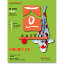 SAITO ENERGY CS - Koi Sinkfutter mit arktischem Fisch Krill Kohlenhydrate Ballaststoffe niedrige Wassertemperatur Ø4 mm - 5 kg Eimer
