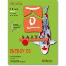 SAITO ENERGY CS - Koi Sinkfutter mit arktischem Fisch Krill Kohlenhydrate Ballaststoffe niedrige Wassertemperatur Ø4 mm - 15 kg (2x 7,5 kg Sack)