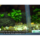 DENNERLE Gravel Cleaner Nano - Nano Mulmsauger für Aquariengröße 10 bis 40 L - Bodengrund Reinigung Absaugung Pumpe Druchflussbegrenzer Schlauchhalter