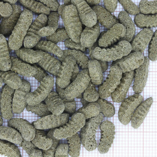 JBL Propond Silkworms Gr. M Seidenraupenform Gammarus Koi Leckerbissen - Inhalt: 1 kg (4133100)