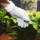 JBL PROSCAPE CLEANING GLOVE Aquarien-Handschuh mit Metallfäden zur Reinigung von Scheiben Gegenständen Pflanzenblätter (6137900)
