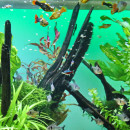 JBL PRONOVO BEL FLAKES M - Aquarium Hauptfutter-Flocken für alle Zierfische von 8-20 cm - Größe M