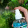 JBL PROCLEAN AQUA - Glasreiniger zum Sprühen für die Außenseiten aller Aquarienscheiben - Inhalt: 250 ml (6460000)