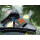OASE SwimSkim 50 / Oberflächenabsauger Skimmer (Oase-Nr. 50170)