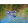 OASE SwimSkim 50 / Oberflächenabsauger Skimmer (Oase-Nr. 50170)