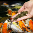 NUTRAMARE Koi360 SINK 15 kg - Hochwertiges Alleinfuttermittel für Koi - Pellets: Ø 4,5 mm sinkend - Inhalt: 15 kg