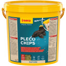 SERA - Pleco Chips - Hauptfutter für Ancistrus und...