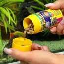 JBL PRONOVO CORYDORAS TAB M - Futtertabletten für Panzerwelse von 1-20 cm - Inhalt: 250 ml