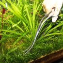 JBL PROSCAPE TOOLS S 20 WAVE Schere - Wellenschere für die Pflanzenpflege in Aquarien