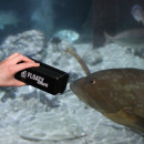 JBL FLOATY Shark - Schwimmender Scheiben-Reinigungsmagnet für dicke Aquarienscheiben bis max. 20 -30 mm Stärke