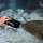 JBL FLOATY Shark - Schwimmender Scheiben-Reinigungsmagnet für dicke Aquarienscheiben bis max. 20 -30 mm Stärke