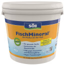 Söll FischMineral® - Die Vitalkur für den Fisch