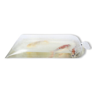 HAPPYKOI® Koi Fisch Transportbeutel Fischtüte, transparent - Maße: 120 x 50 cm