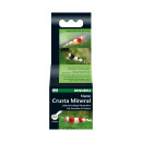 DENNERLE Nano Crusta Mineral - Inhalt: 35 g