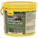 SERA Tortoise Adult Herbivore Duo Pellets - Premium-Hauptfutter für herbivore Landschildkröten