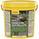 SERA Tortoise Adult Herbivore Duo Pellets - Premium-Hauptfutter für herbivore Landschildkröten